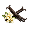 Vanilla Bean
